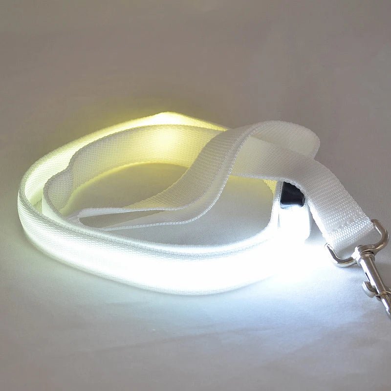 BRIGHTBARK – Guinzaglio LED per cani con ricarica USB e design riflettente