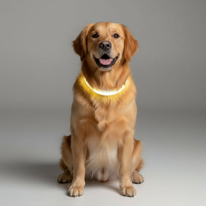 BRIGHTBARK – Guinzaglio LED per cani con ricarica USB e design riflettente
