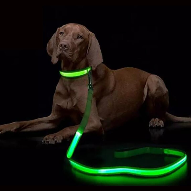 BRIGHTBARK – Guinzaglio LED per cani con ricarica USB e design riflettente