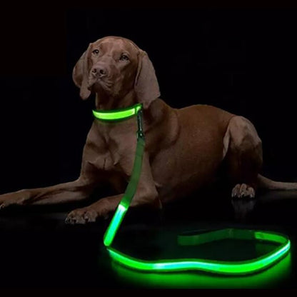 BRIGHTBARK – Guinzaglio LED per cani con ricarica USB e design riflettente