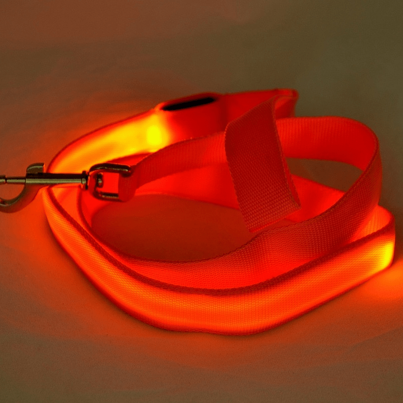 BRIGHTBARK – Guinzaglio LED per cani con ricarica USB e design riflettente