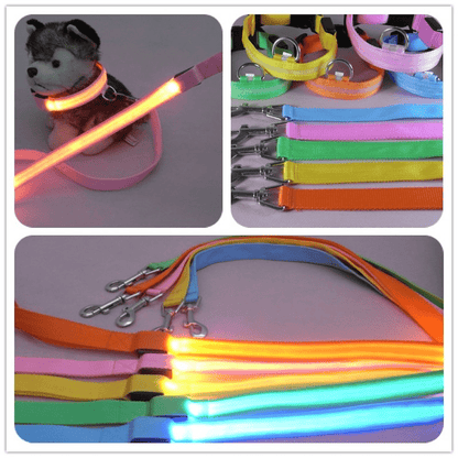 BRIGHTBARK – Guinzaglio LED per cani con ricarica USB e design riflettente