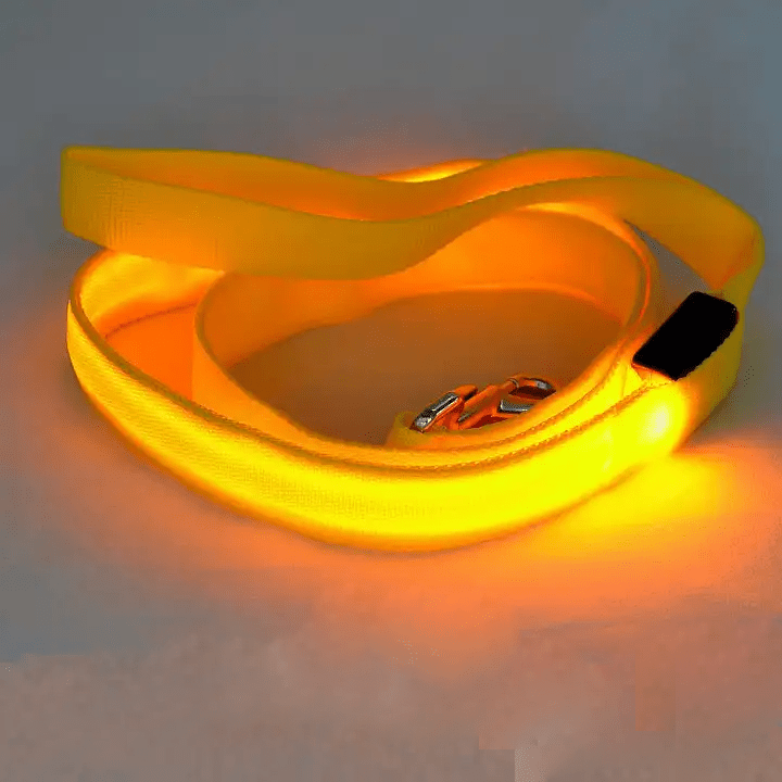 BRIGHTBARK – Guinzaglio LED per cani con ricarica USB e design riflettente