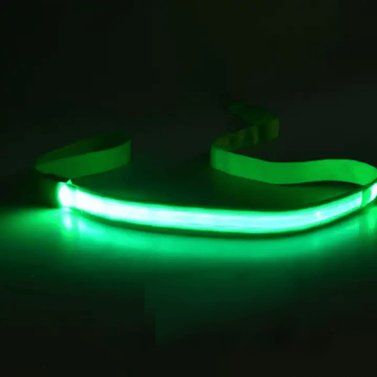 BRIGHTBARK – Guinzaglio LED per cani con ricarica USB e design riflettente