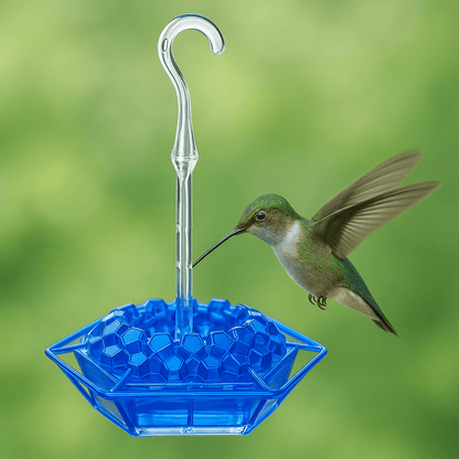 HUMMIFEED – Alimentatore colorato da appendere per colibrì e abbeveratoio per uccelli resistente alle intemperie