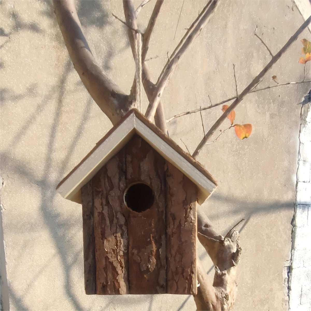HOLLOWSHED – protezione per uccelli in legno di alta qualità con circolazione naturale dell'aria