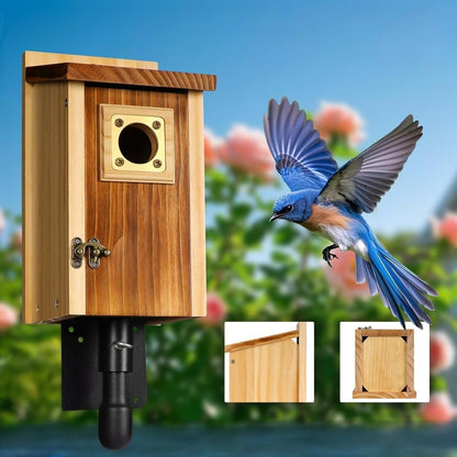 SKYDWELL – Casetta nidificante in legno di cedro per ghiandaie azzurre, rondini e piccoli uccelli