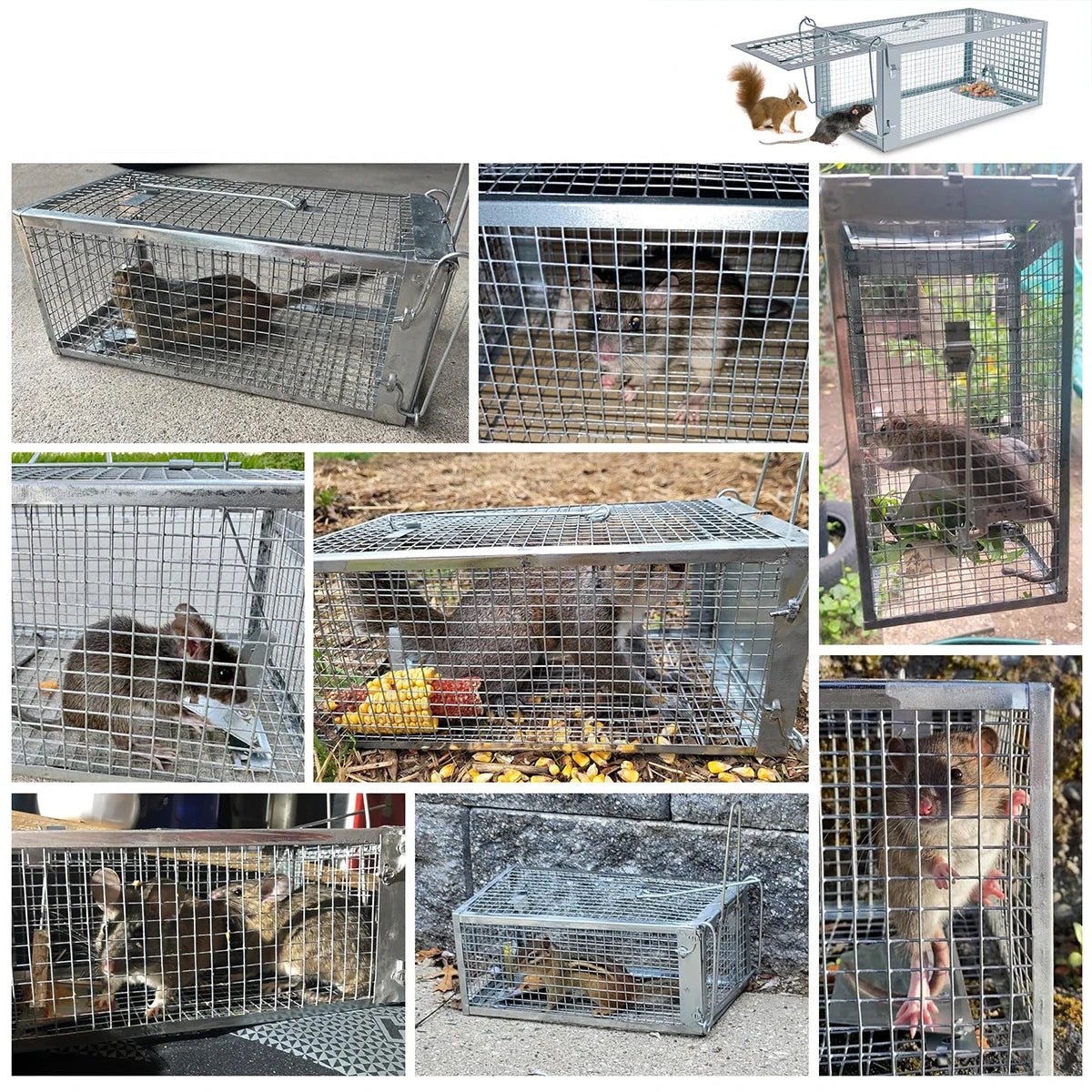 LIVERELEASE – Trappola a gabbia umana per il controllo dei roditori