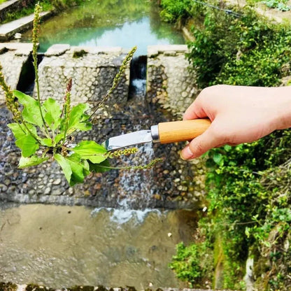 GROVEX – Set robusto per la rimozione manuale delle erbacce, realizzato in acciaio al carbonio