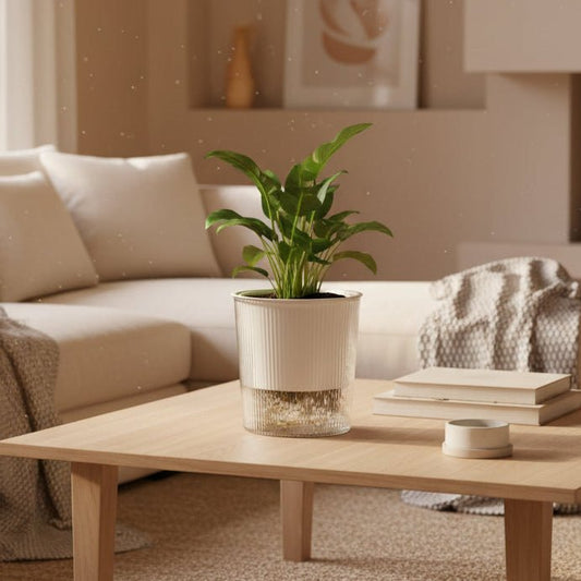 BLOOMSYNC – Vaso per piante autoirrigante, trasparente, per una cura delle piante senza sforzo