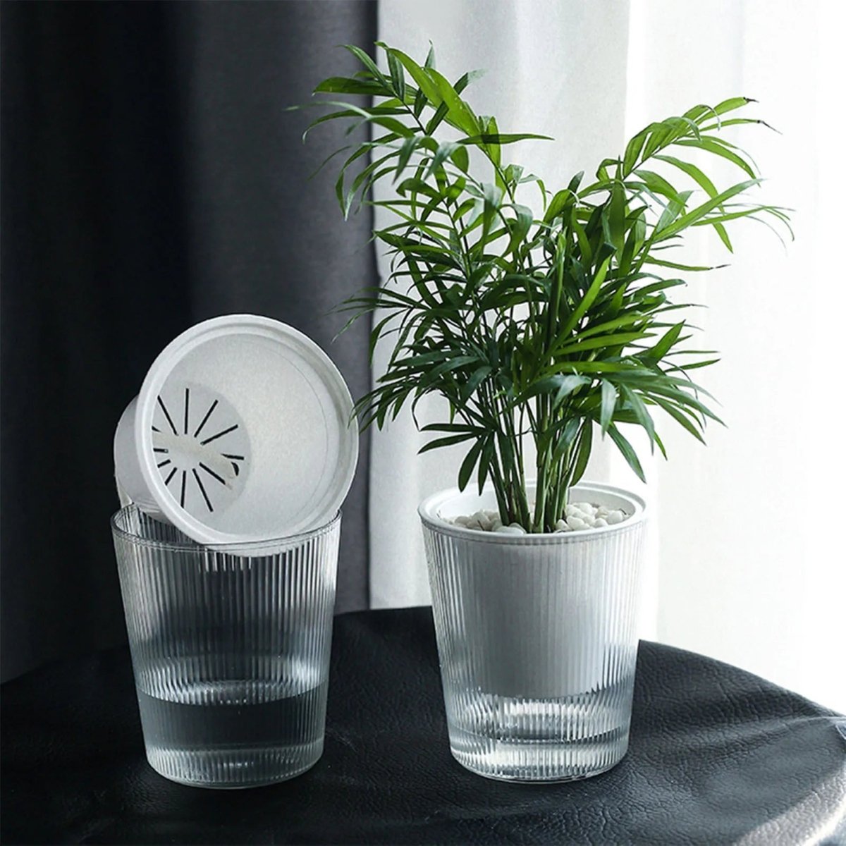 BLOOMSYNC – Vaso per piante autoirrigante, trasparente, per una cura delle piante senza sforzo