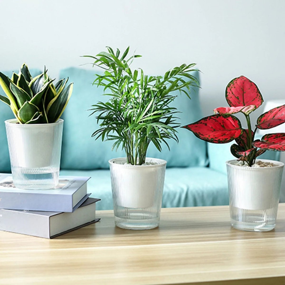 BLOOMSYNC – Vaso per piante autoirrigante, trasparente, per una cura delle piante senza sforzo