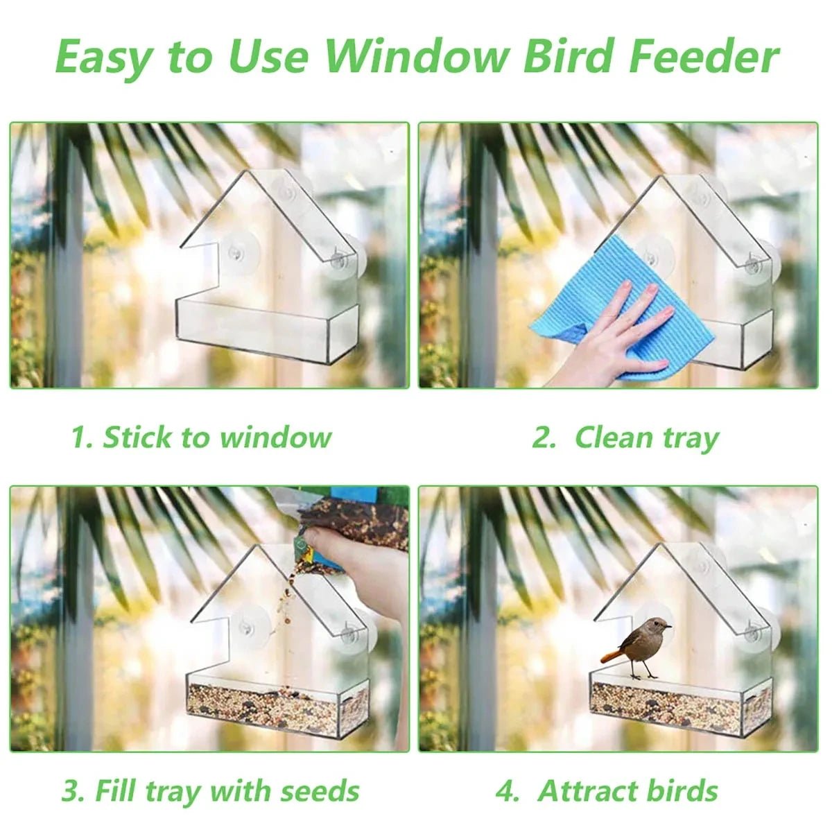 FEEDPEEK – Alimentatore per uccelli da finestra trasparente con ventose