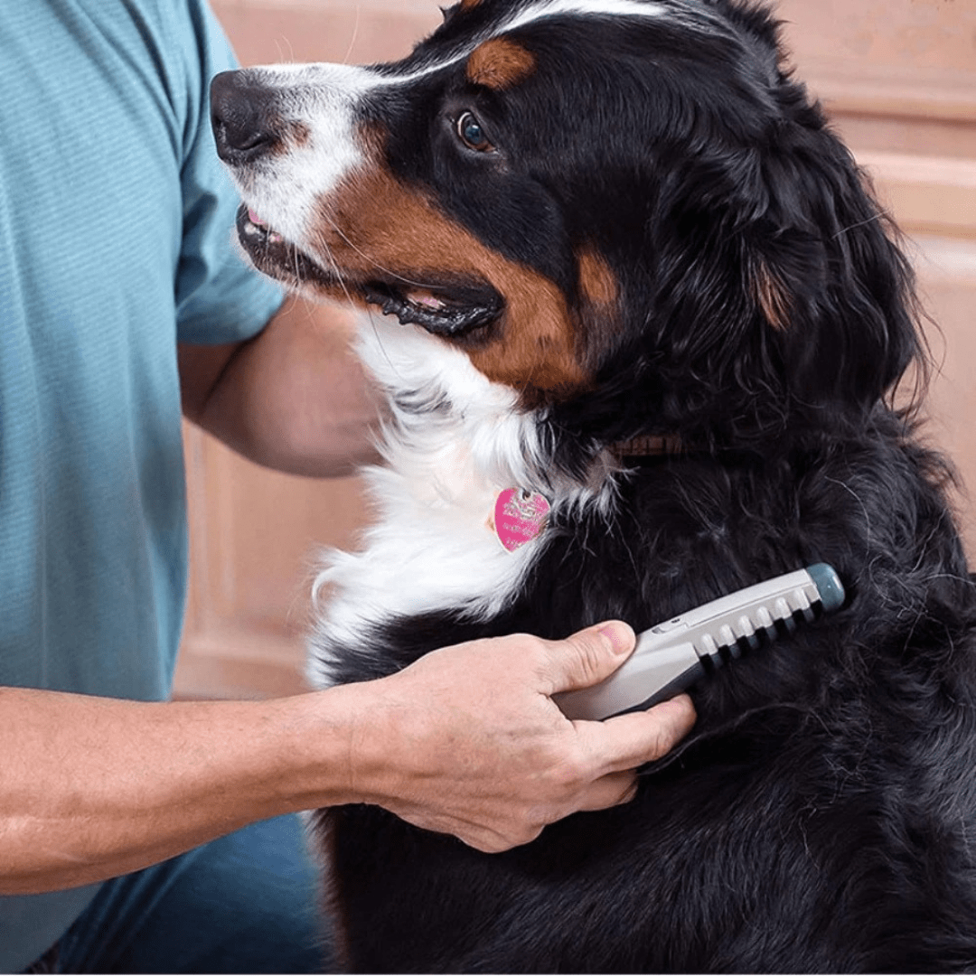 CALMCOAT – Taglia-pelo delicato per animali, adatto a tutti i tipi di pelo