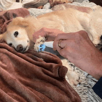 Tagliacapelli SilentPet - Silenzioso per zampine pulite e zone sensibili