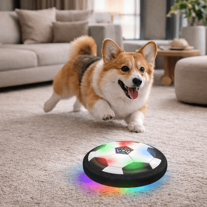 ChaseSpark – Palla da gioco interattiva per cani con movimenti imprevedibili