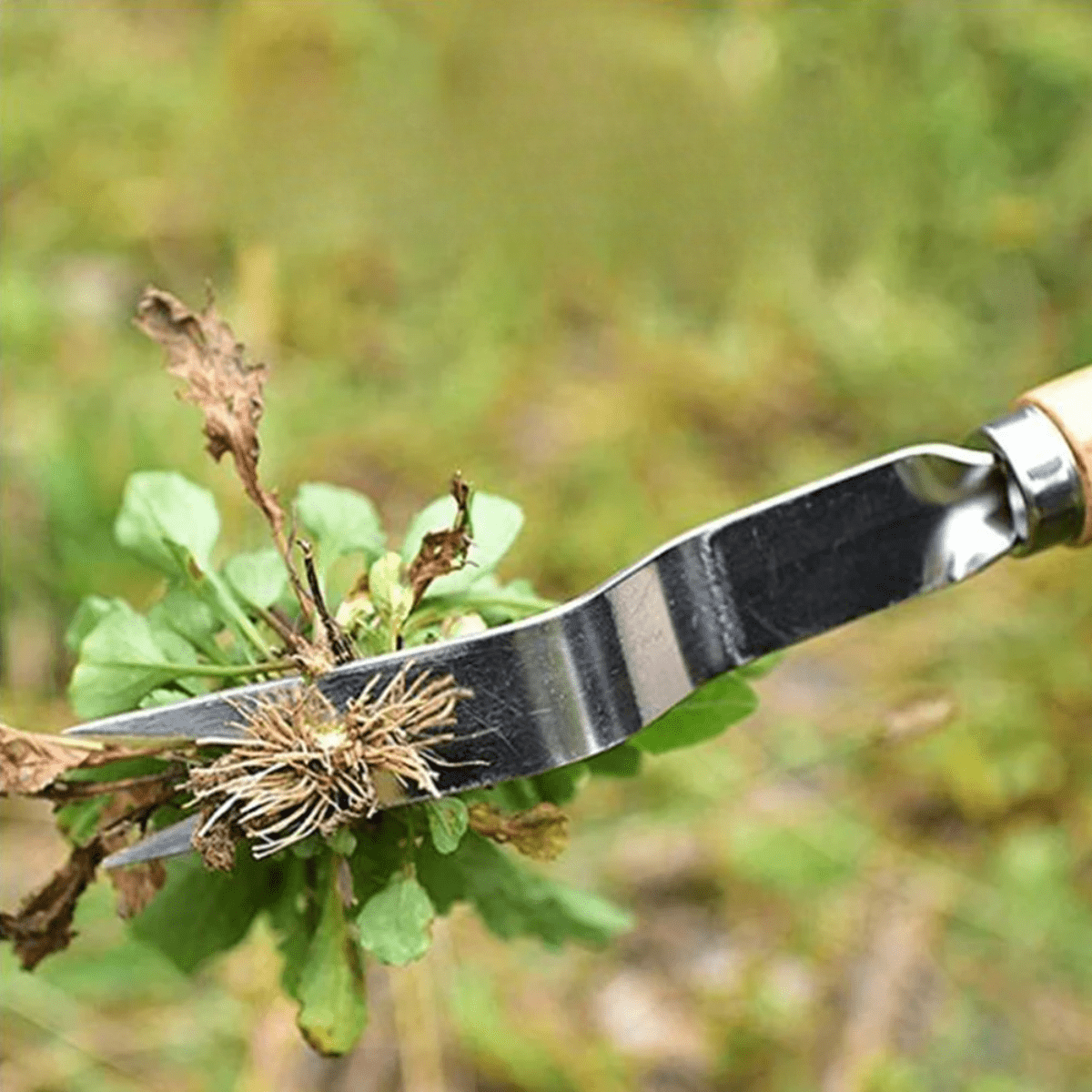 GardenPulse Precision - Rimuovi-erbacce di precisione con manico ergonomico per un facile utilizzo