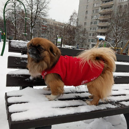 PETSNUG – Gilet per cane idrorepellente con anello a D