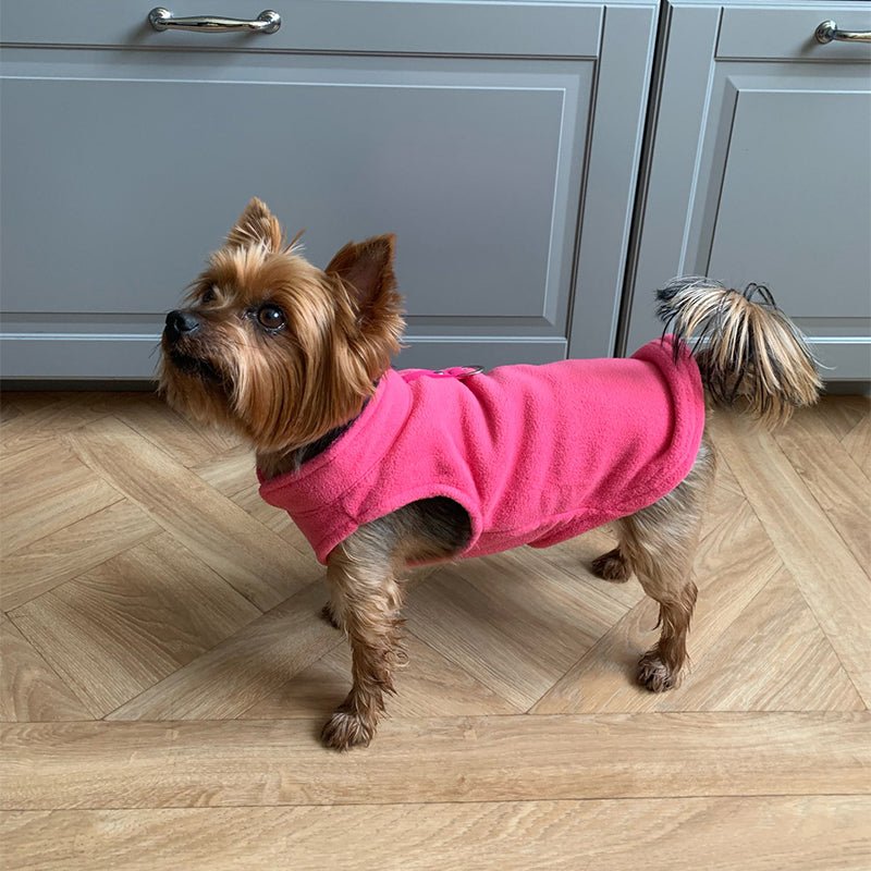 PETSNUG – Gilet per cane idrorepellente con anello a D