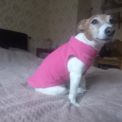 PETSNUG – Gilet per cane idrorepellente con anello a D