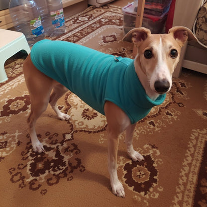 PETSNUG – Gilet per cane idrorepellente con anello a D