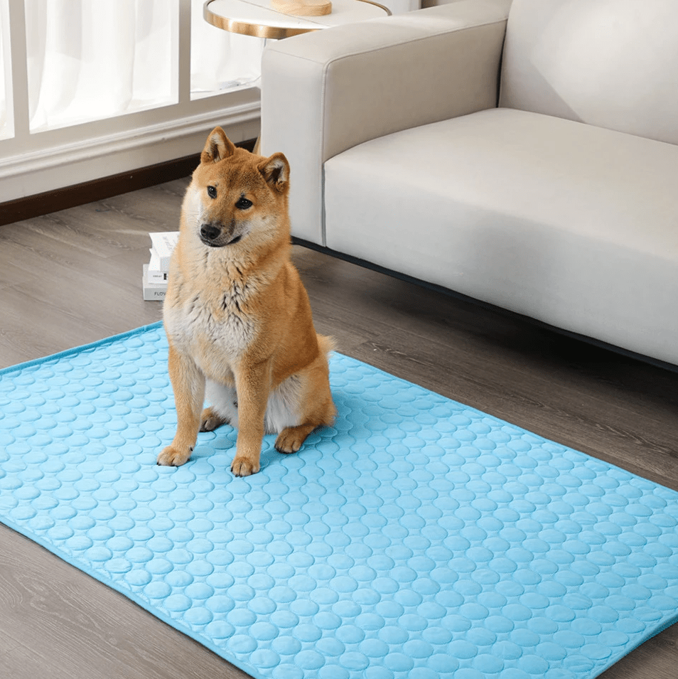 DogCool Mat - Tappetino rinfrescante per cani che previene il surriscaldamento durante l'estate