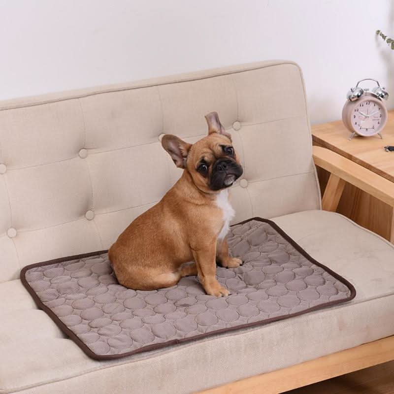 DogCool Mat - Tappetino rinfrescante per cani che previene il surriscaldamento durante l'estate