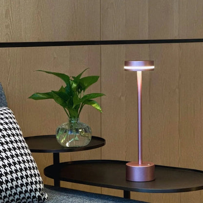 NATURDECOR LED – 120 LED per decorazione e atmosfera