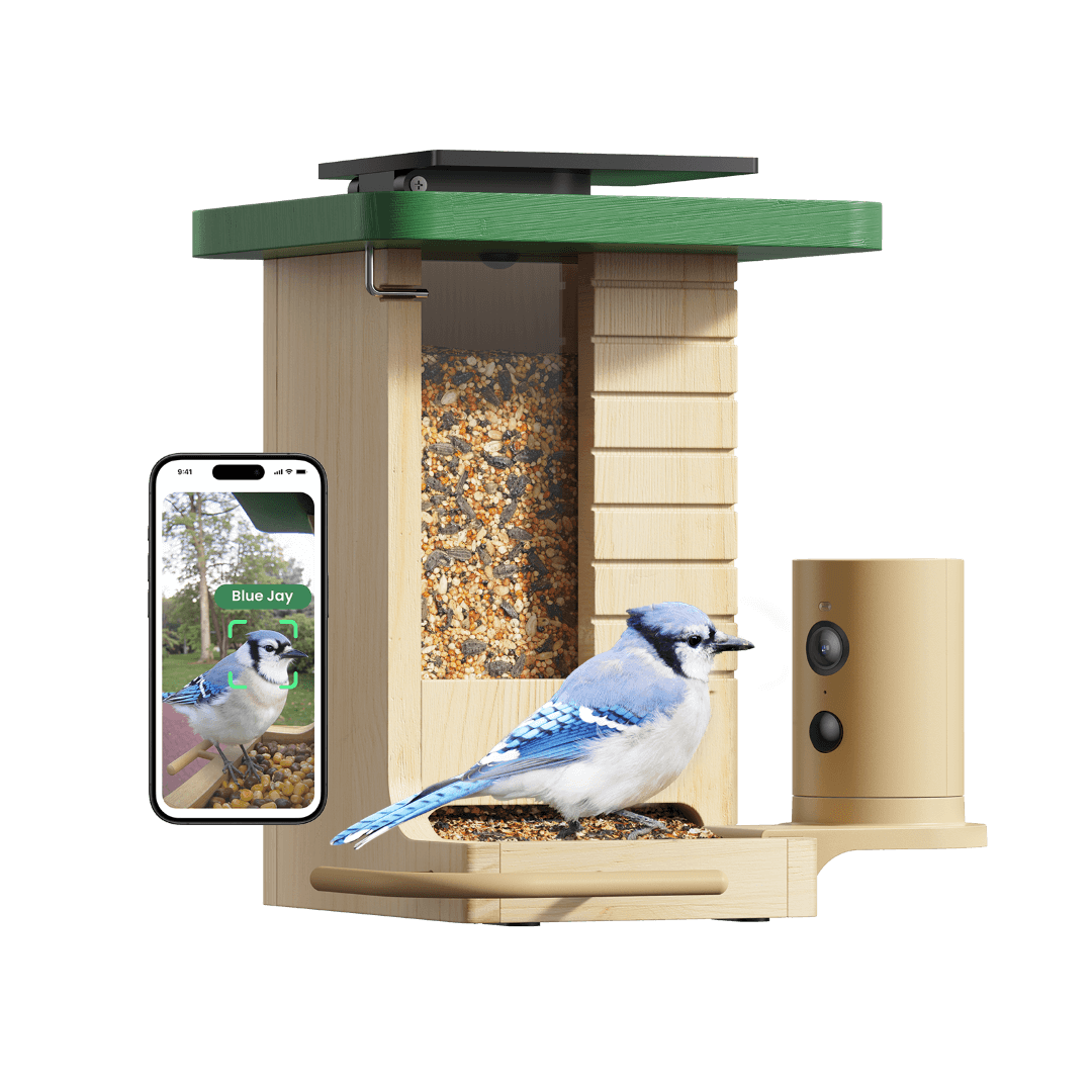 Birdfy Feeder Wood – Mangiatoia Intelligente in Legno con Telecamera