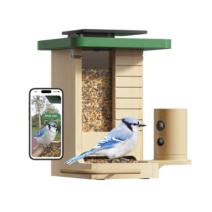 Birdfy Feeder Wood – Mangiatoia Intelligente in Legno con Telecamera