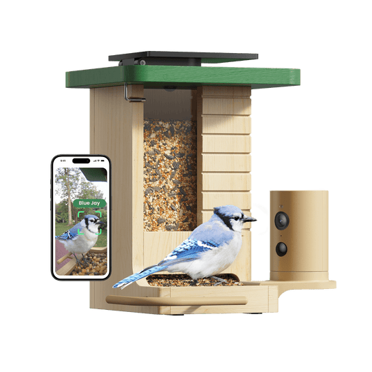 Birdfy Feeder Wood – Mangiatoia Intelligente in Legno con Telecamera
