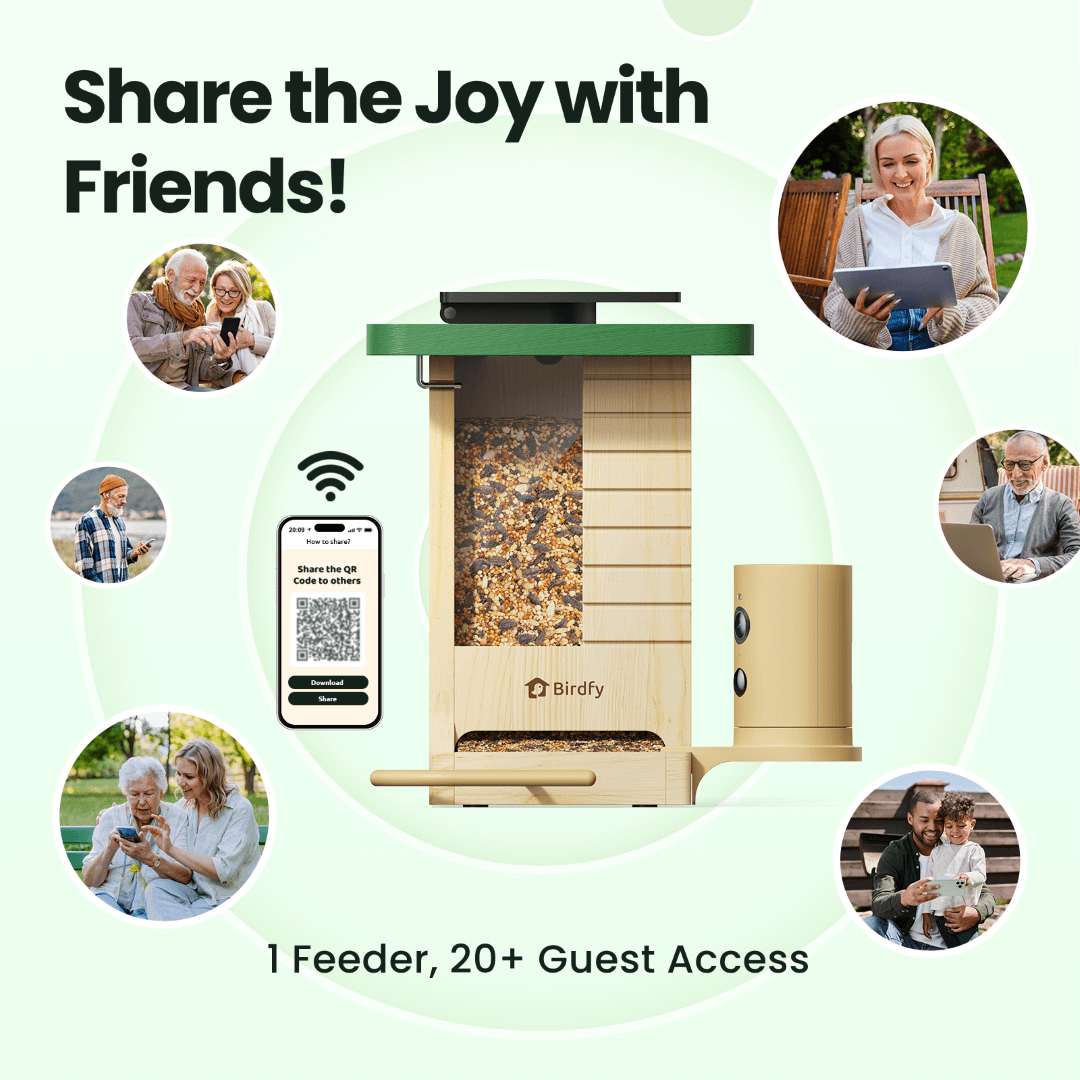 Birdfy Feeder Wood – Mangiatoia Intelligente in Legno con Telecamera