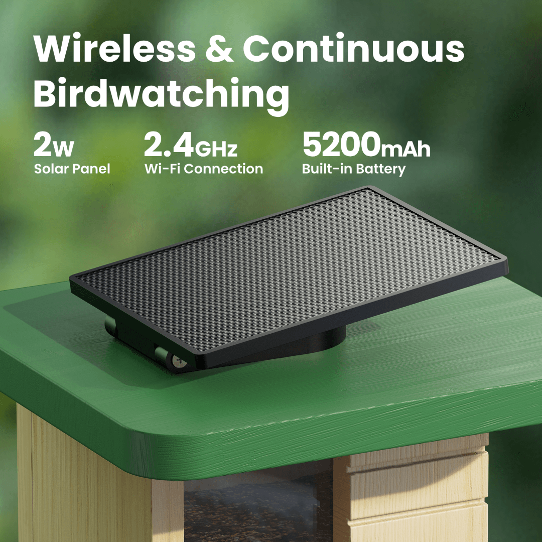 Birdfy Feeder Wood – Mangiatoia Intelligente in Legno con Telecamera