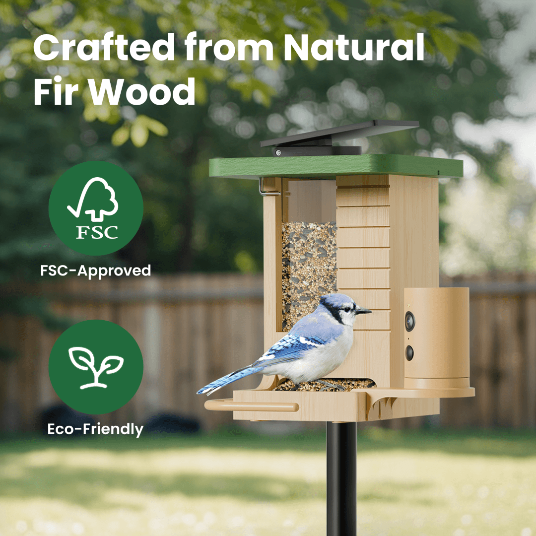 Birdfy Feeder Wood – Mangiatoia Intelligente in Legno con Telecamera