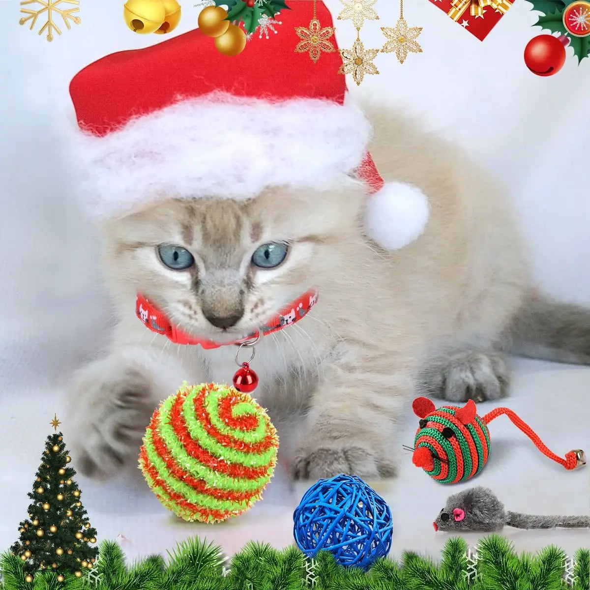 FelineFest | Calendario dell'Avvento interattivo per gatti con giocattoli e dolcetti coinvolgenti