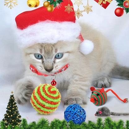FelineFest | Calendario dell'Avvento interattivo per gatti con giocattoli e dolcetti coinvolgenti