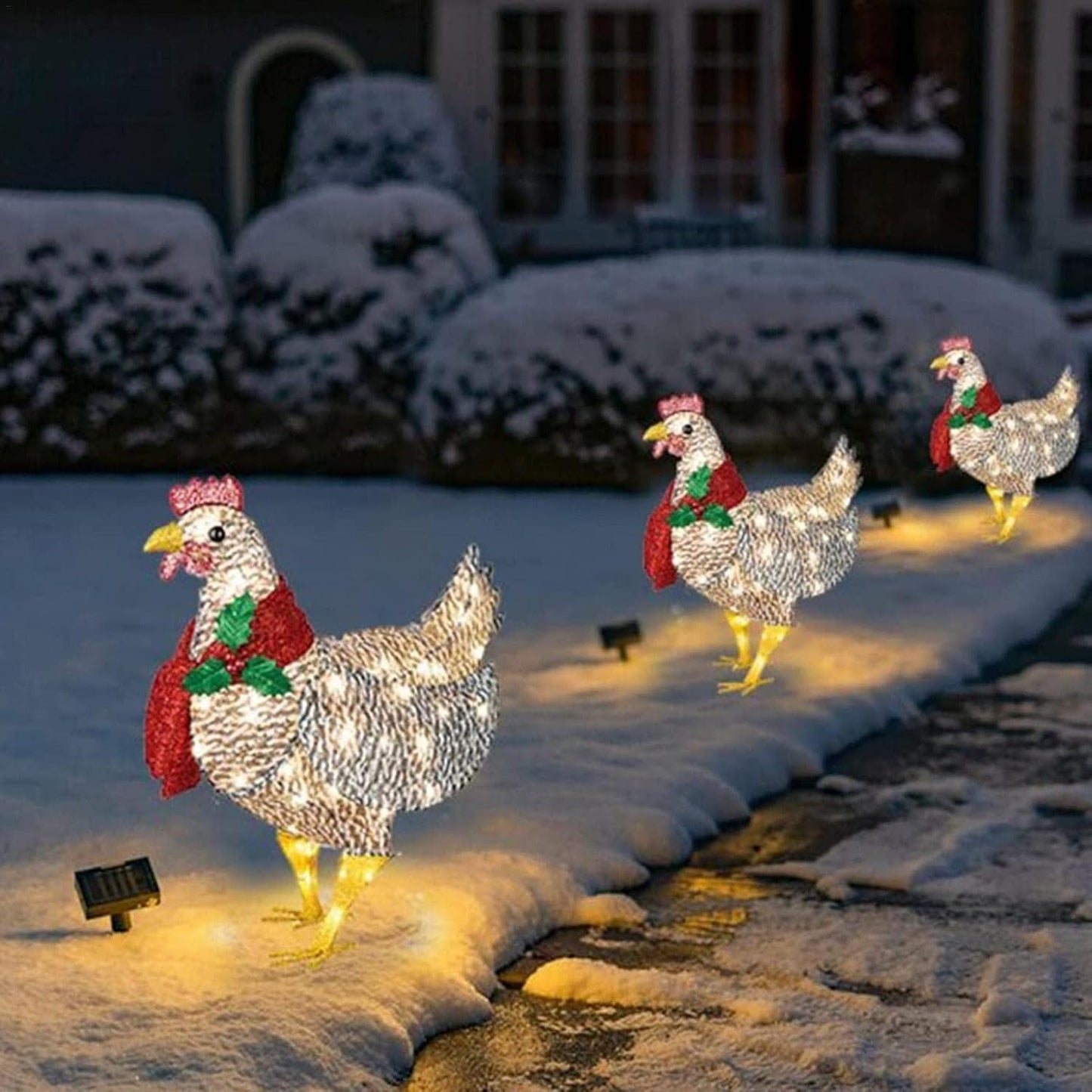 FestiveGlow | Affascinante decorazione da giardino a forma di pollo luminoso con sciarpa