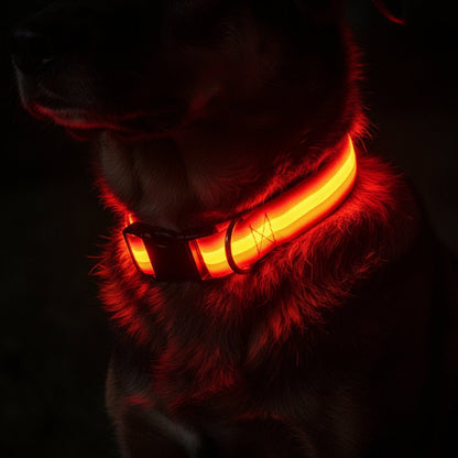 GLOWRUN – Collare LED di sicurezza per cani con taglia regolabile