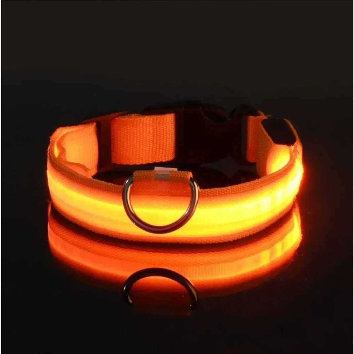 GLOWRUN – Collare LED di sicurezza per cani con taglia regolabile