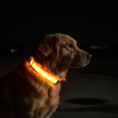 GLOWRUN – Collare LED di sicurezza per cani con taglia regolabile
