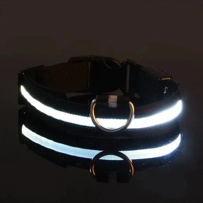 GLOWRUN – Collare LED di sicurezza per cani con taglia regolabile