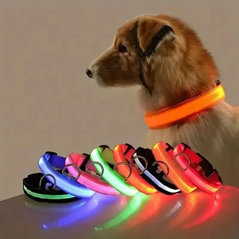 GLOWRUN – Collare LED di sicurezza per cani con taglia regolabile