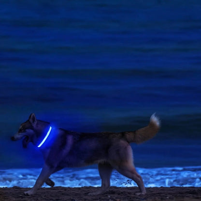 GLOWRUN – Collare LED di sicurezza per cani con taglia regolabile