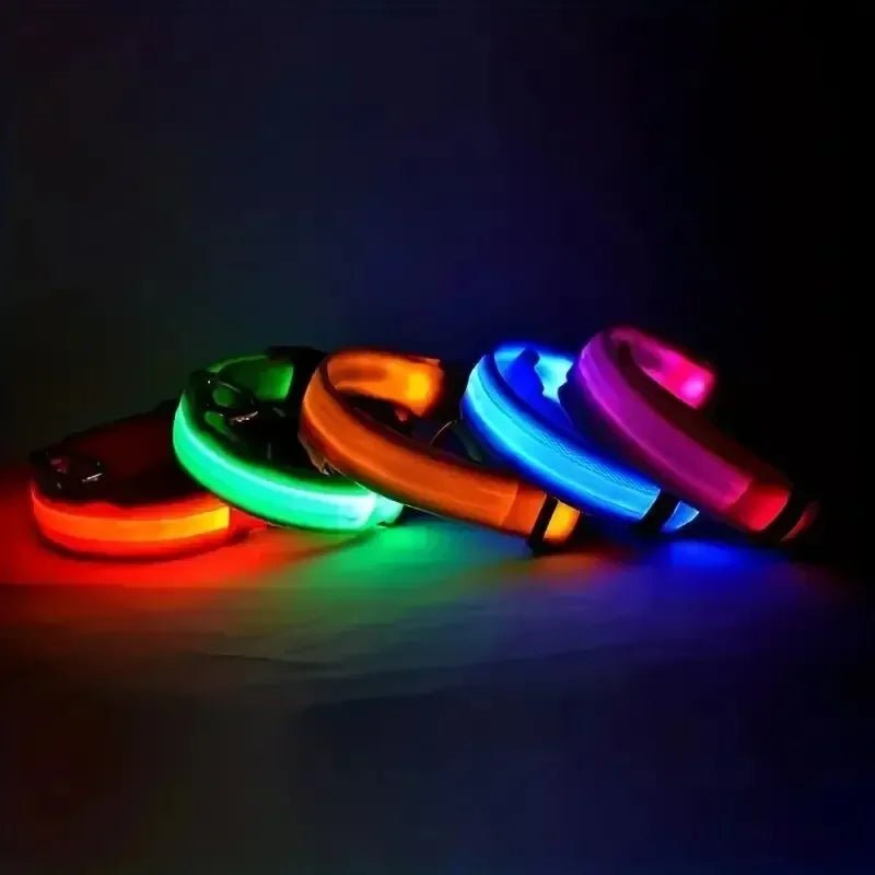 GLOWRUN – Collare LED di sicurezza per cani con taglia regolabile