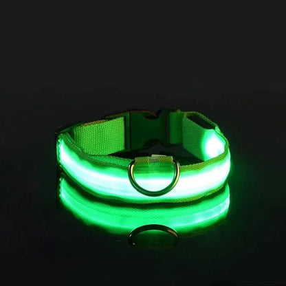 GLOWRUN – Collare LED di sicurezza per cani con taglia regolabile