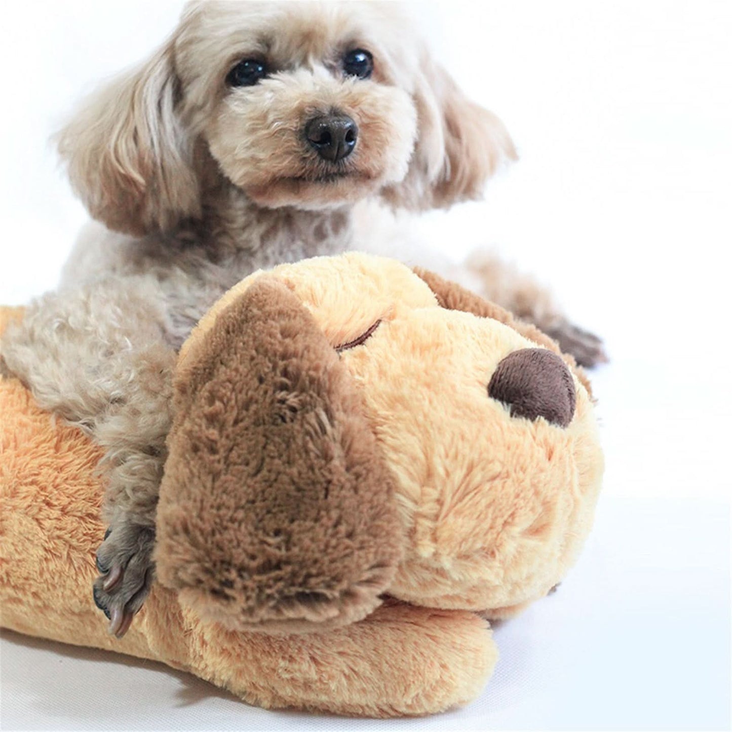 CUDDLEPUP - Peluche calmante con battito cardiaco per cuccioli