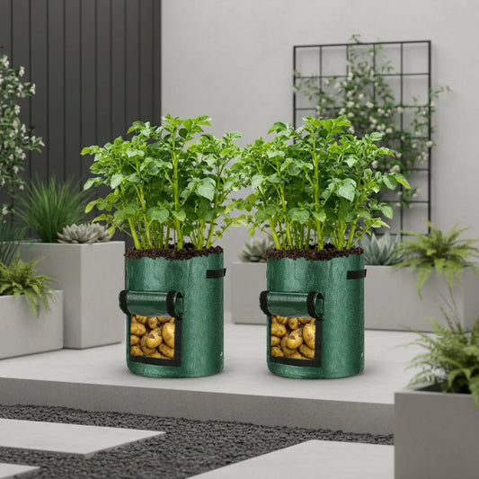ROOTBAG – Set di sacche per la piantagione di patate, drenaggio ottimale e coltivazione di ortaggi
