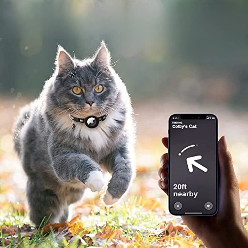 CATGUARD – Collare GPS per gatti con design riflettente