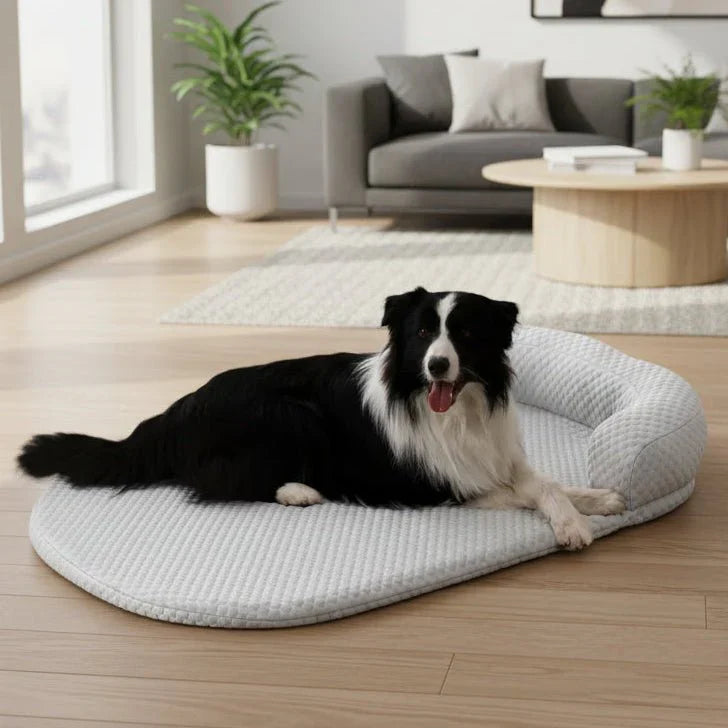 COOLTAIL – tappetino rinfrescante per cani e gatti