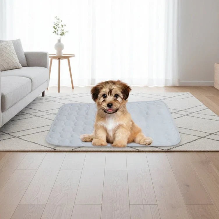PAWCOT – Cuscino rinfrescante per animali domestici di piccola taglia (cani e gatti)